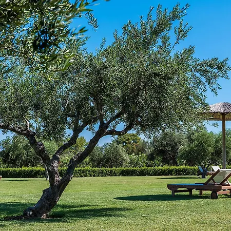 Ta Spitakia * Kos-Stadt