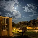 Ta Spitakia Kos